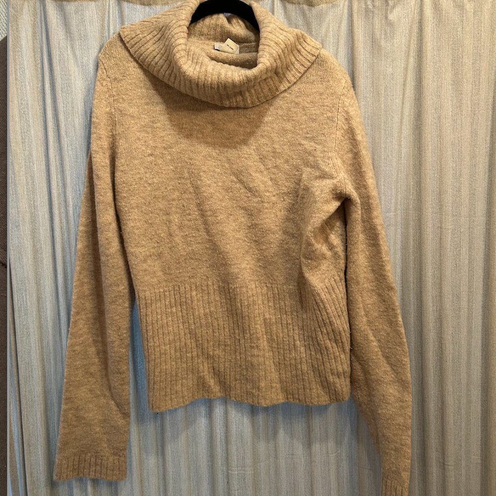 Ann Taylor Loft Turtleneck Sweater